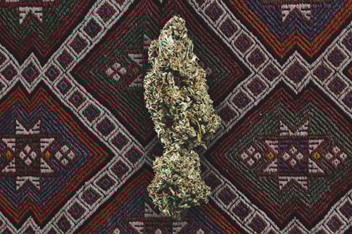Rqs Cannabis Genetics Afghan Royal Queen Seeds