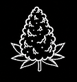 The Flower
