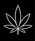 The Leaves