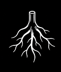 The Roots