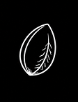 The Seed