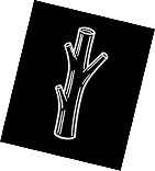 The Stem