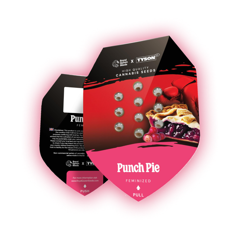Punch Pie