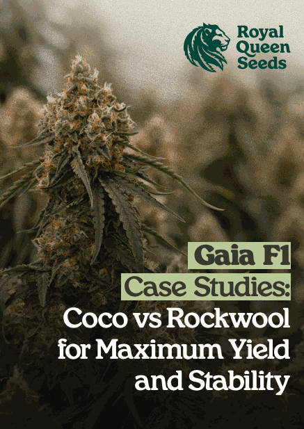 Gaia_coco_rockwool