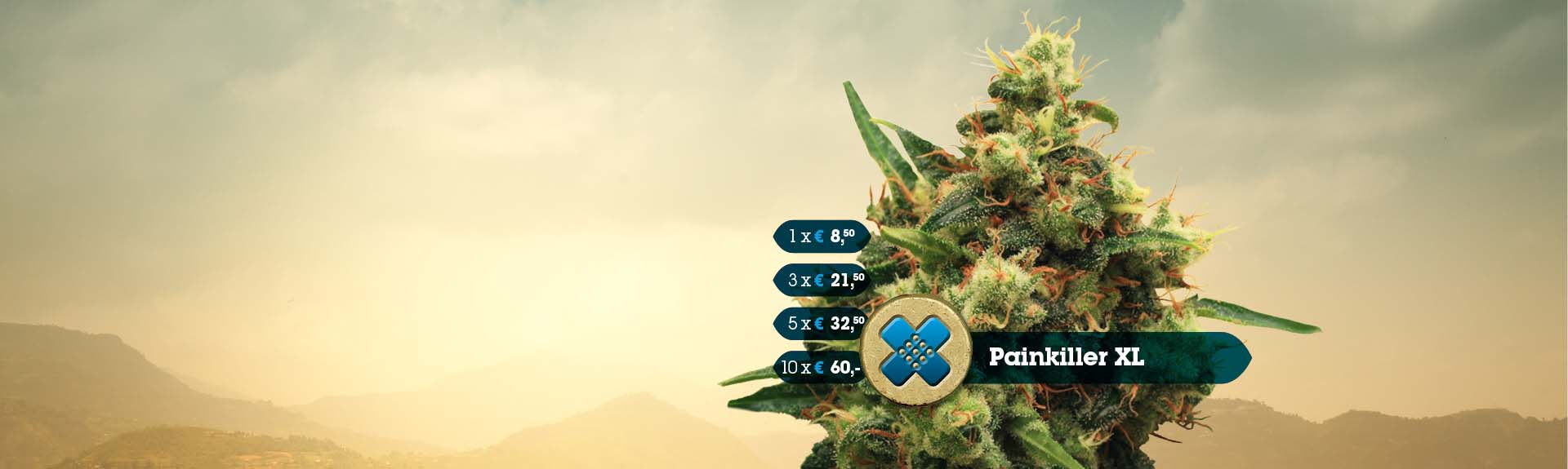 Royal Queen Seeds Buy Feminized Cannabis Seeds and Autoflowering