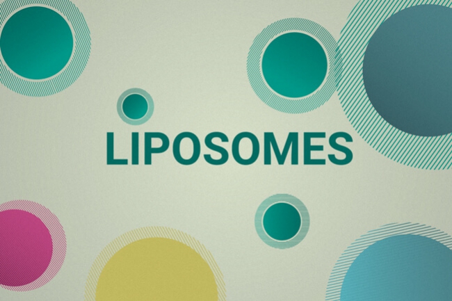 Can Liposomes Deliver CBD More Effectively?