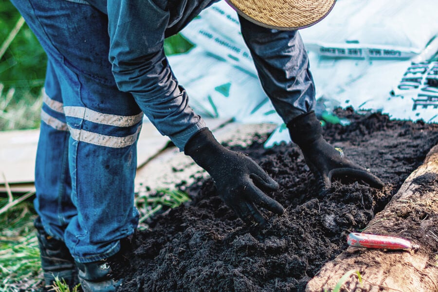 All About No-Till and No-Dig Gardening for Growing Weed