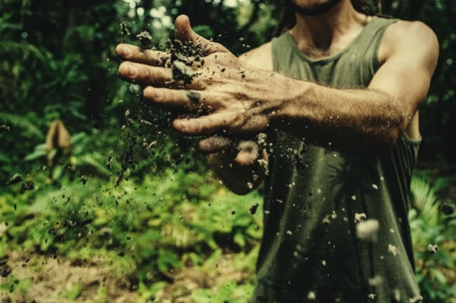 Manure Is A Fantastic Natural Fertiliser For Cannabis Plants Rqs