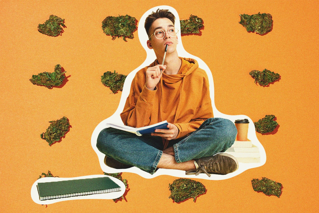 Could Cannabis Actually Help You Study Better?