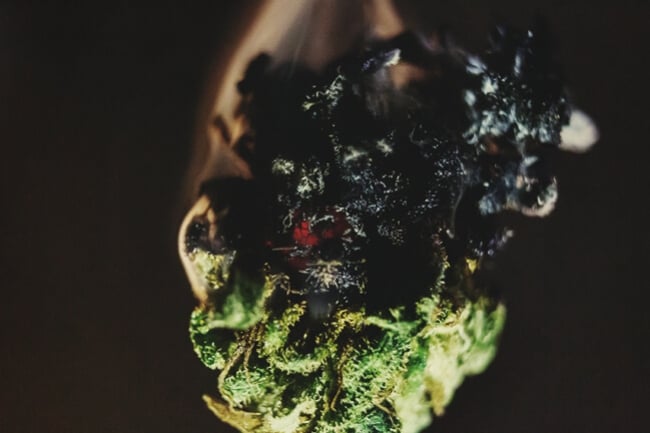 5 Ways to Make the Most of Already Vaped Buds (AVB)