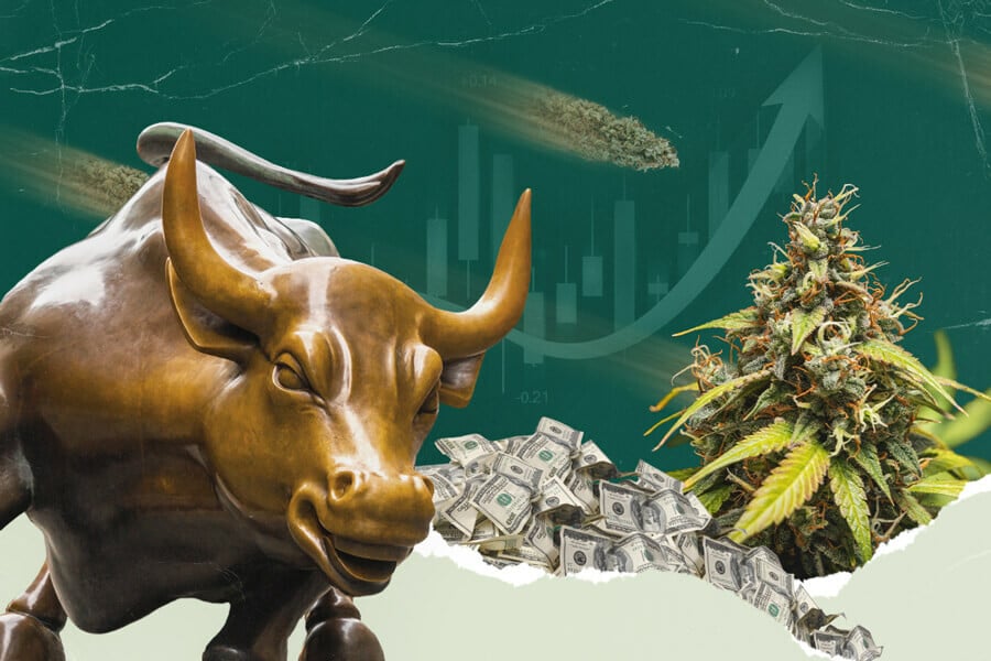 The Cannabis Stock Market Is Growing Up