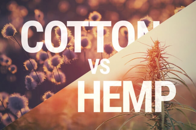 Hemp And Cotton: Which Is The Better Textile?