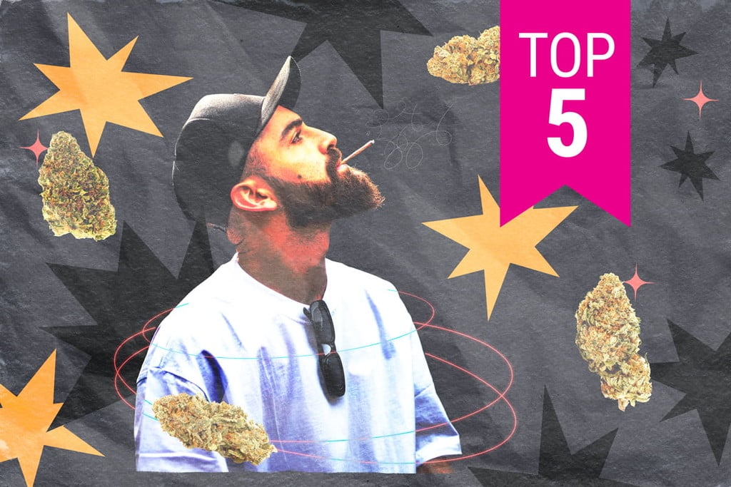 Top 5 Cannabis Strains for Focus and Creativity