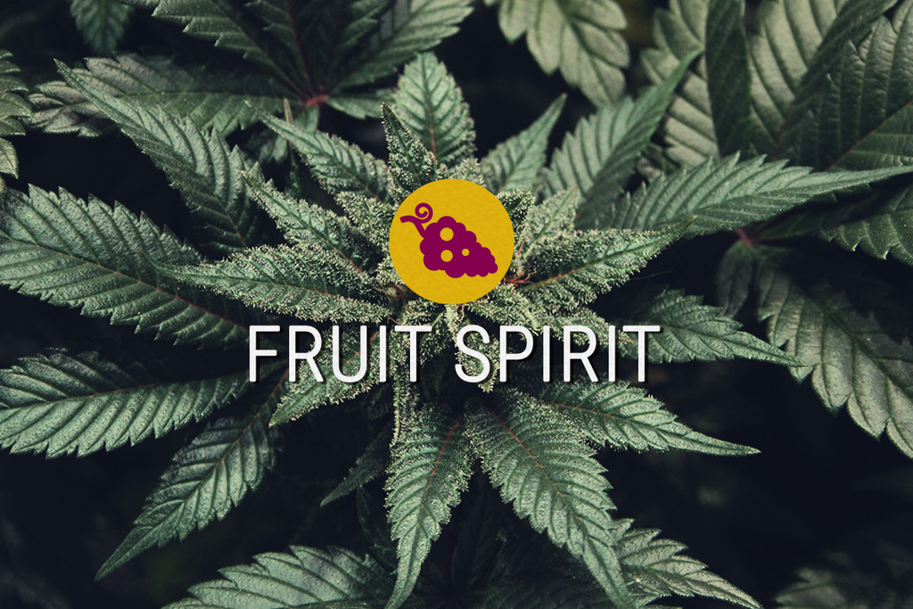 Fruit Spirit Feminized Cannabis seeds