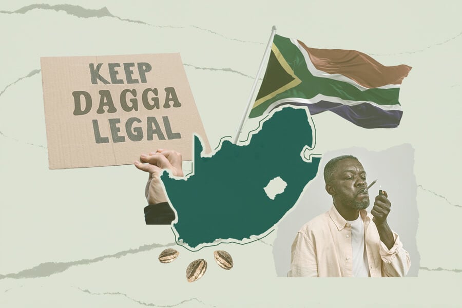 The History And Current Status Of Cannabis In South Africa