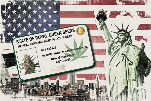 How To Get A Medical Marijuana Card In The United States 