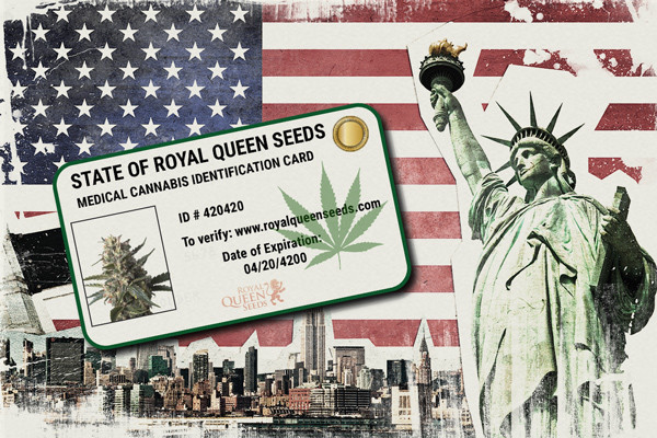 How To Get A Medical Marijuana Card In The United States
