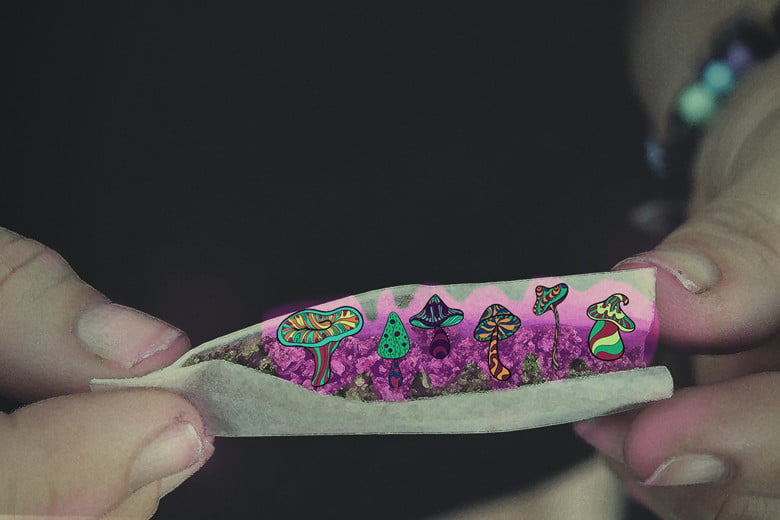 Can You Mix Cannabis And Magic Mushrooms?