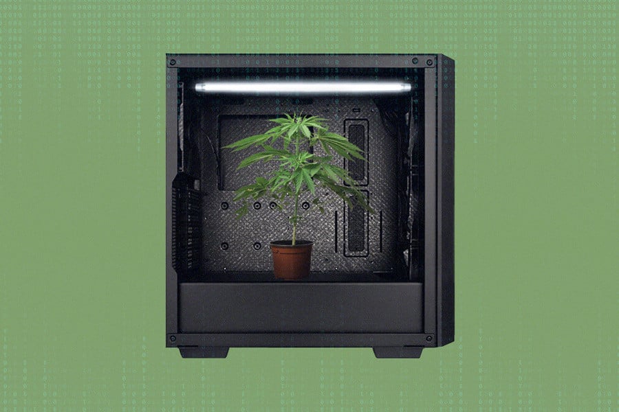 How to Micro Grow Cannabis in a Computer Tower