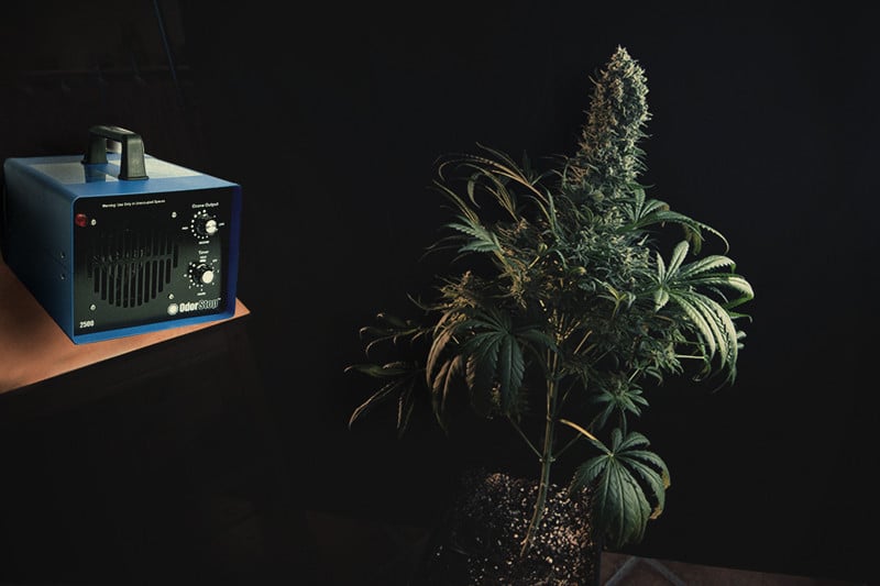 Ozone Generators and Cannabis: Everything You Need to Know