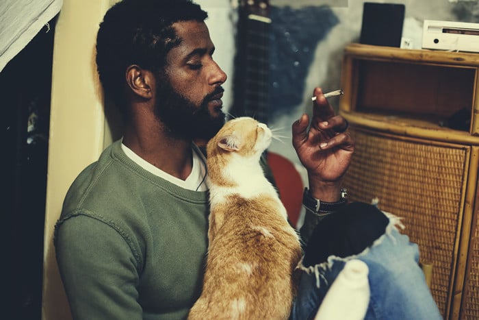 cats smoking weed