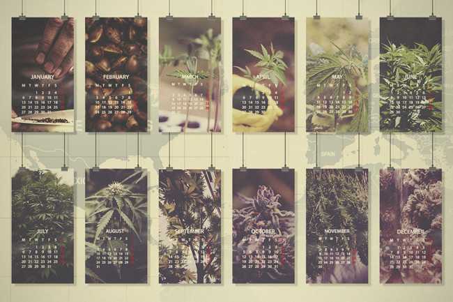 Cannabis Monthly Grow Guide: Southern Europe & Southern USA