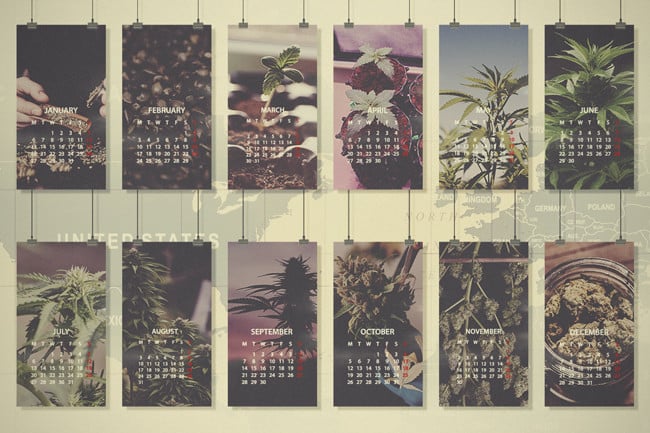 Cannabis Monthly Grow Guide: Northern Europe, USA & Canada