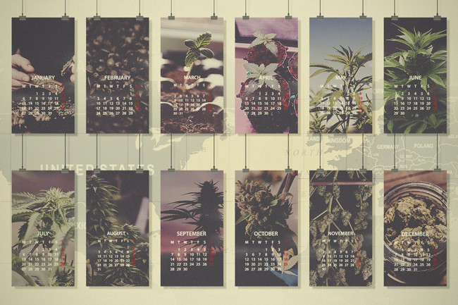Cannabis Monthly Grow Guide: Northern Europe, USA & Canada