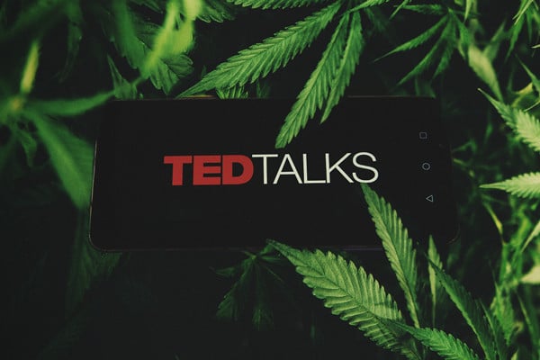 Cannabis Ted Talks — The Best Ted Talks About Weed
