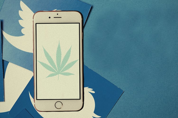 10 Cannabis Twitter Accounts You Need To Follow