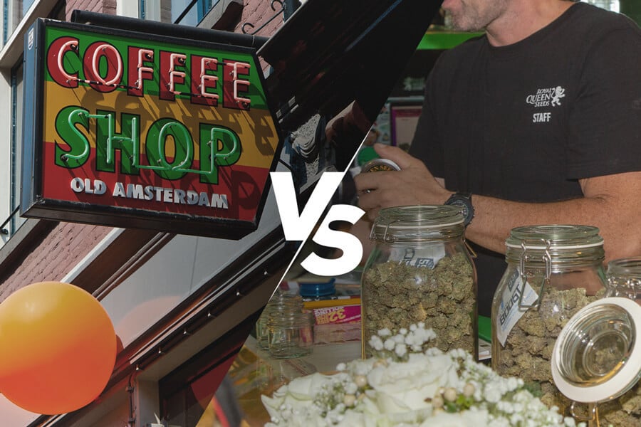 What’s the Difference Between a Coffeeshop and a Cannabis Dispensary?