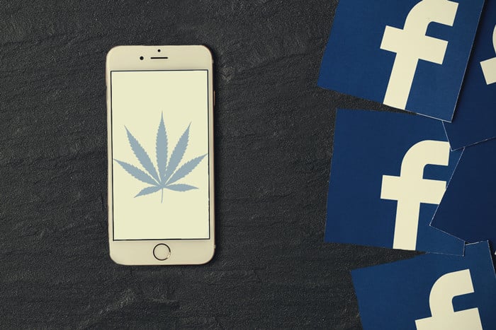 7 Cannabis Facebook Pages You Should Follow Today