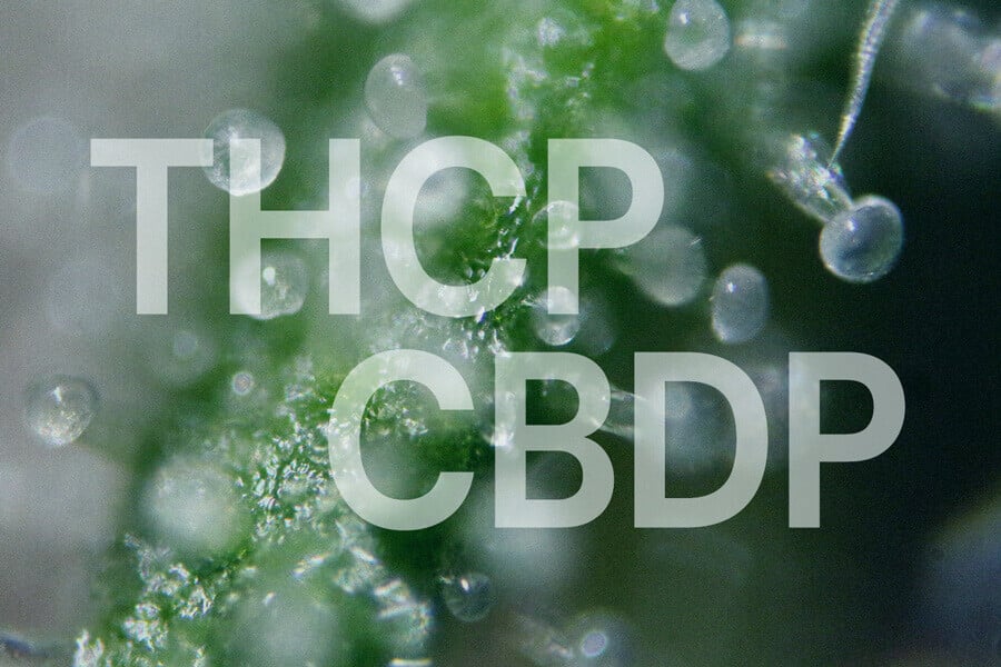 Two New Cannabinoids Discovered: Meet THCP And CBDP