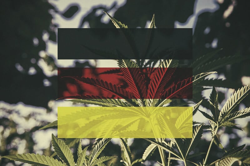 How To Grow Cannabis Outdoors In Germany, Month By Month 