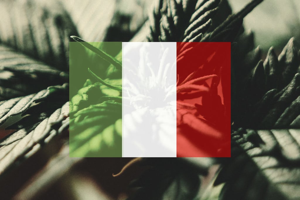 How To Grow Cannabis Outdoors In Italy: Month By Month 