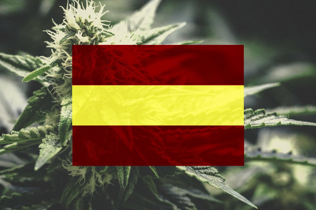 Growing Cannabis In Spain | A Month-By-Month Guide [2025]