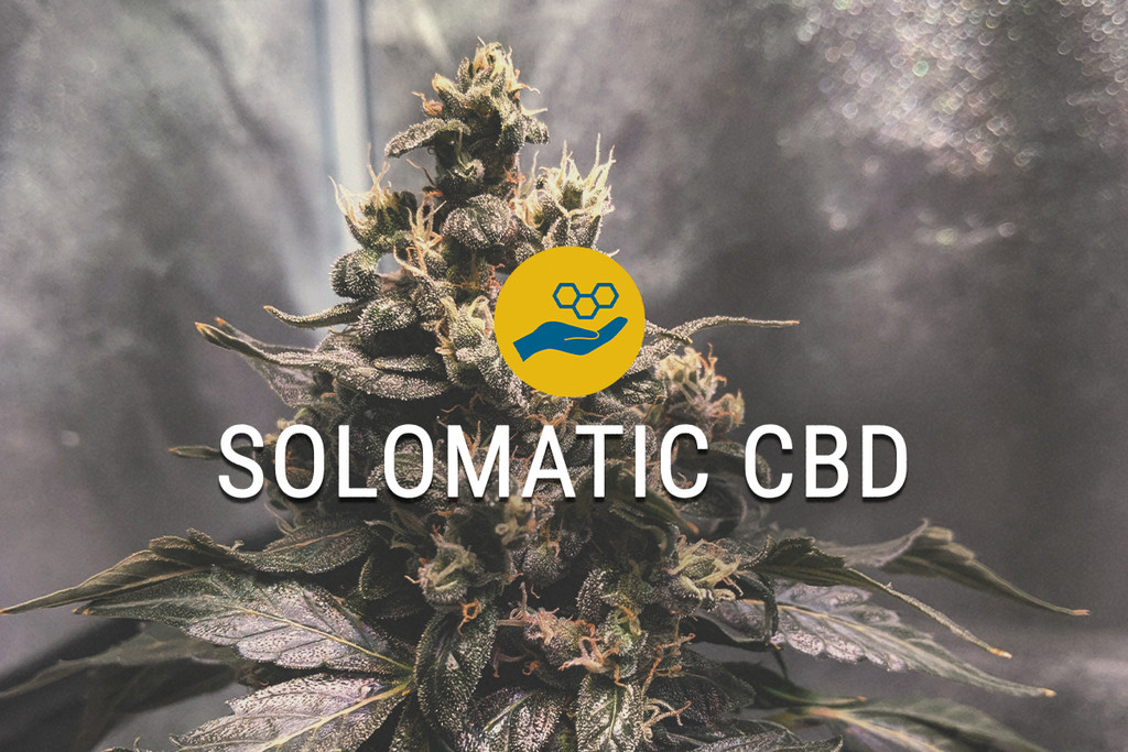 Solomatic CBD Medical Cannabis Seeds