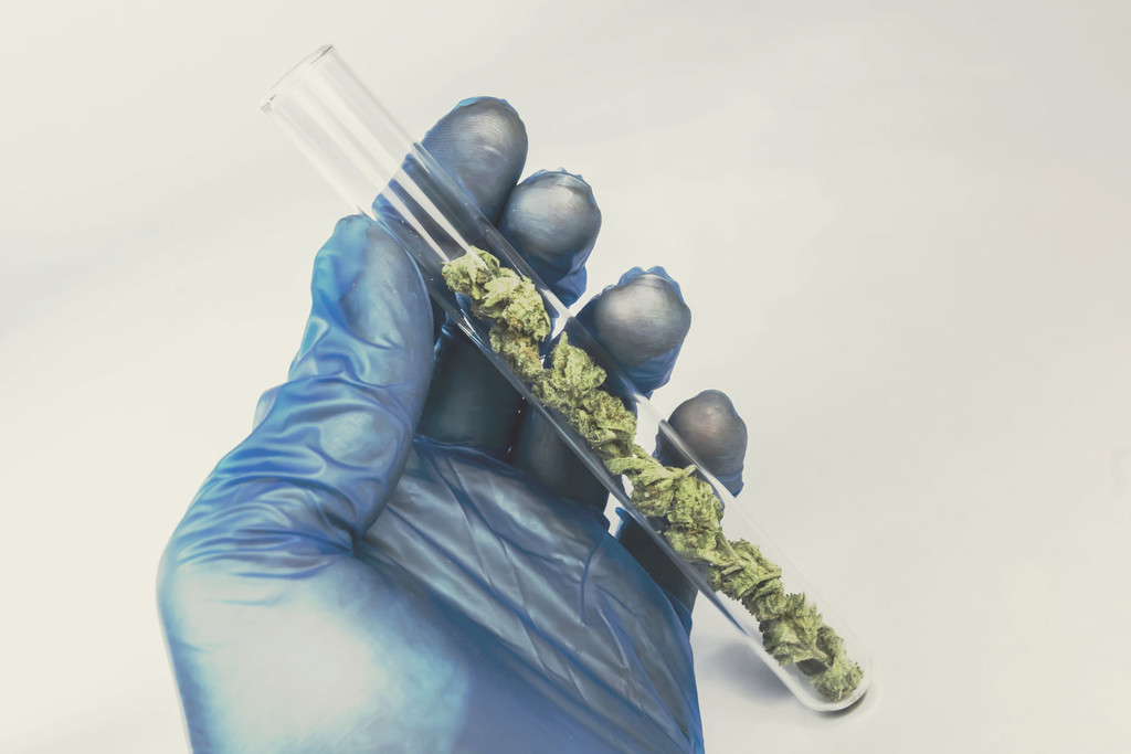 How Cannabis Research Barriers Are Affecting Progress