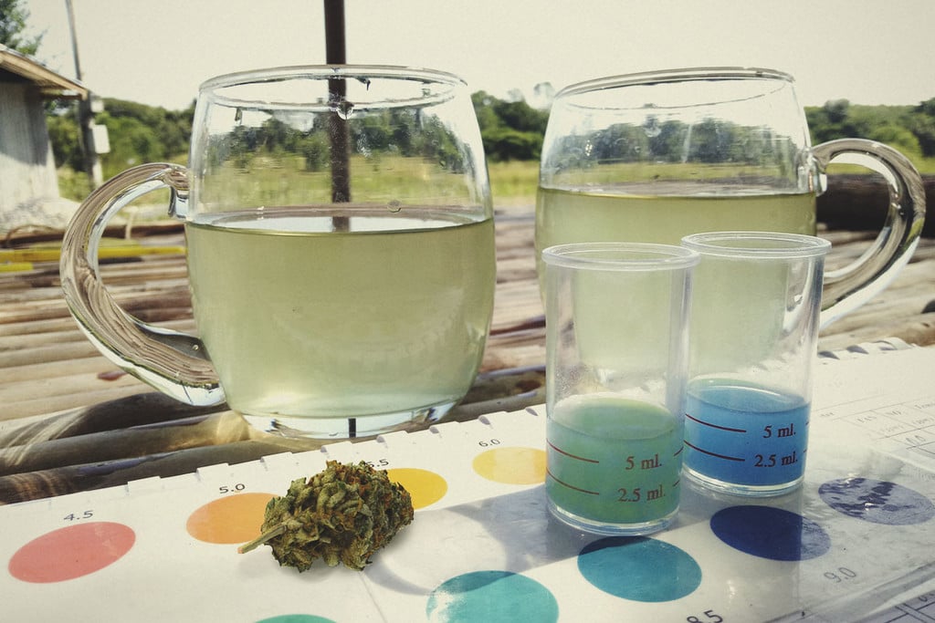How To Test the THC and CBD Content of Your Weed