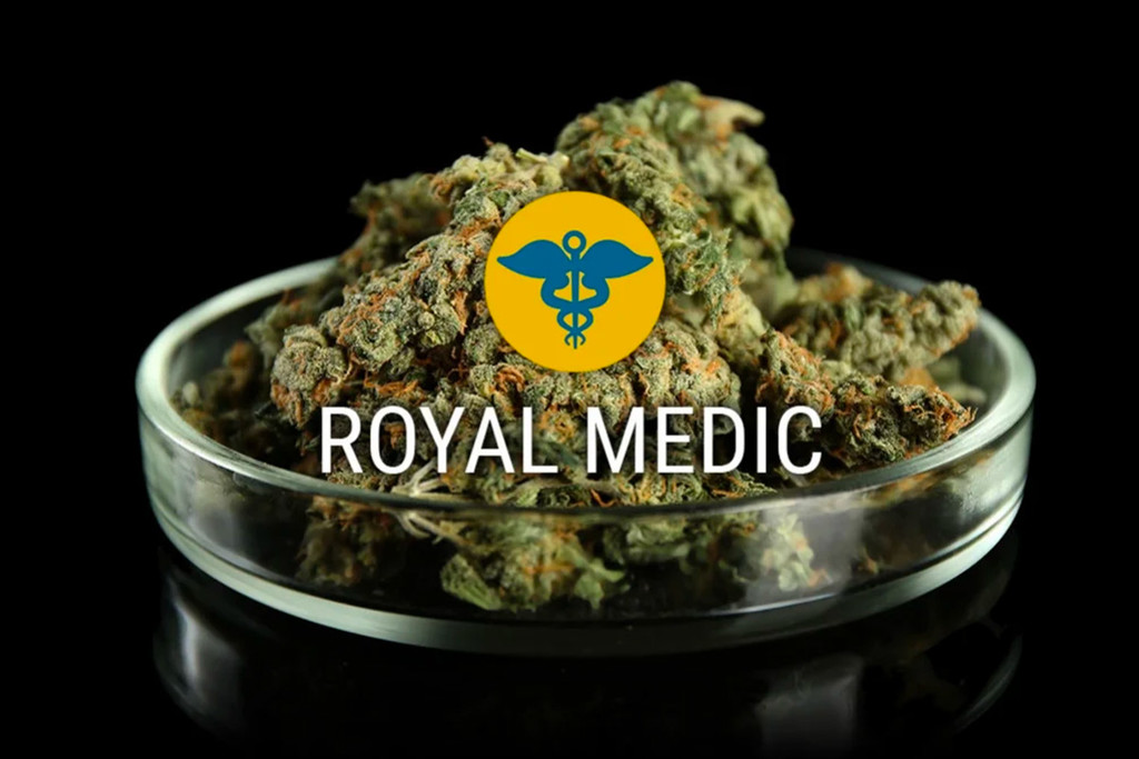 Royal Medic Strain: Enjoy THC and CBD Side by Side