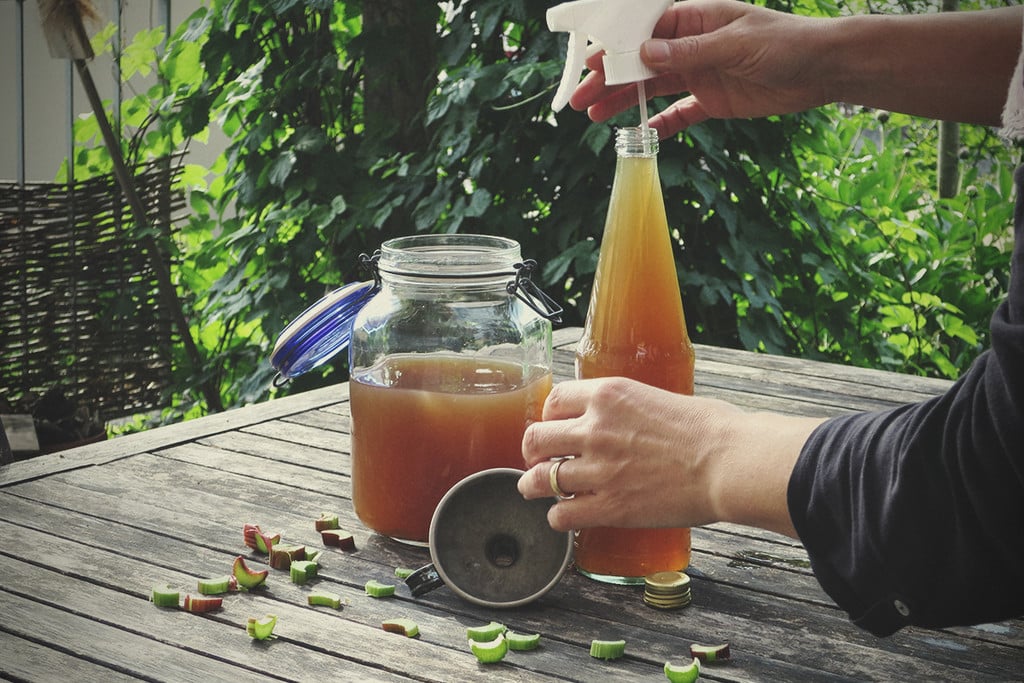 How to Use Korean Natural Farming (KNF) to Grow Cannabis