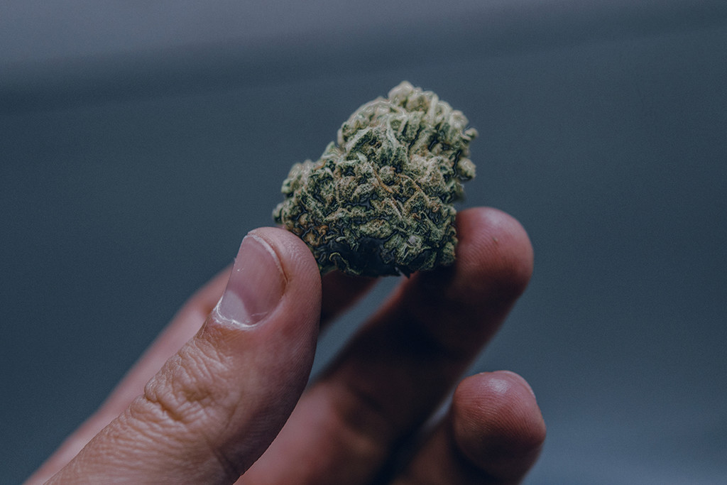 Wet Weed: How to Identify, Prevent, and Solve the Problem