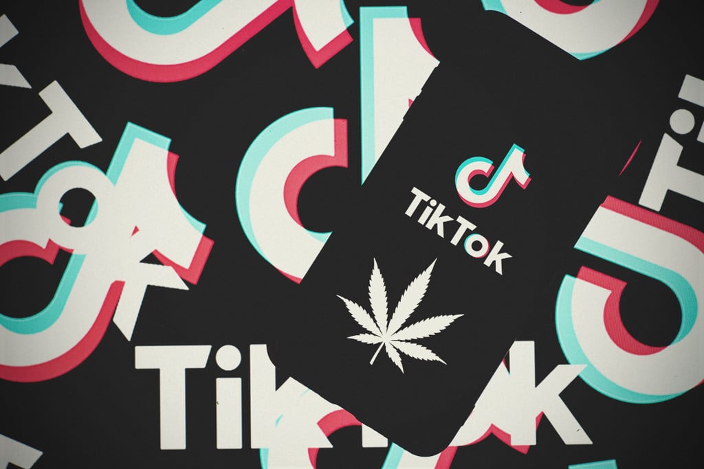 6 TikTok Accounts to Watch When High