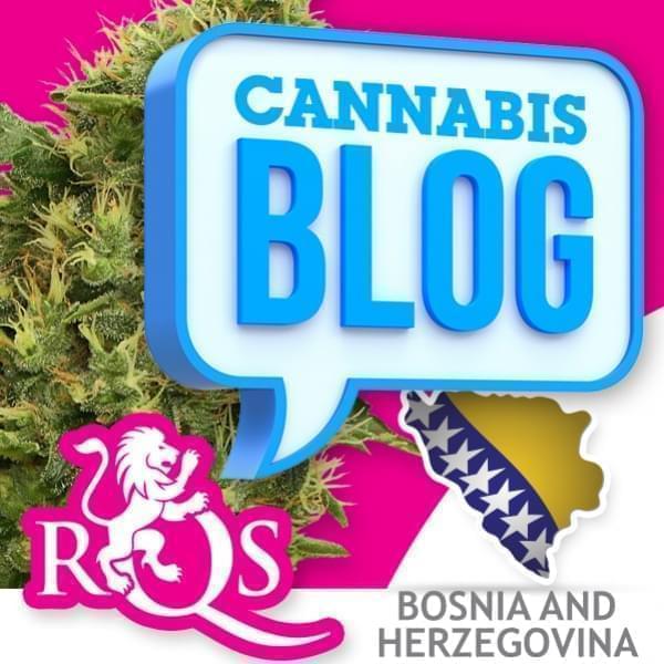 Cannabis in Bosnia and Herzegovina