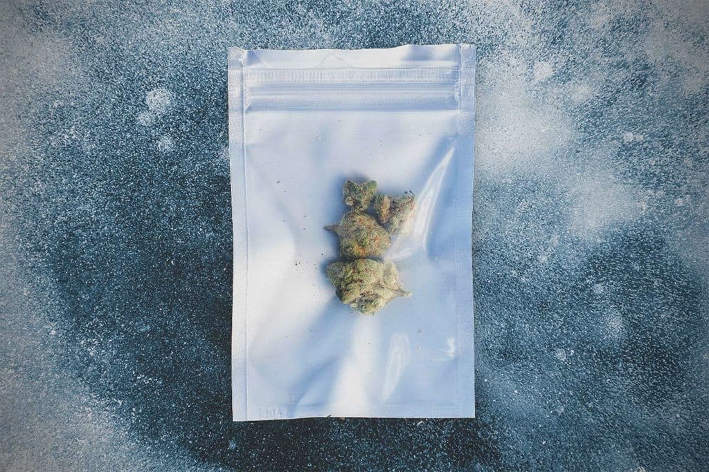 A Guide to Fresh Frozen Weed