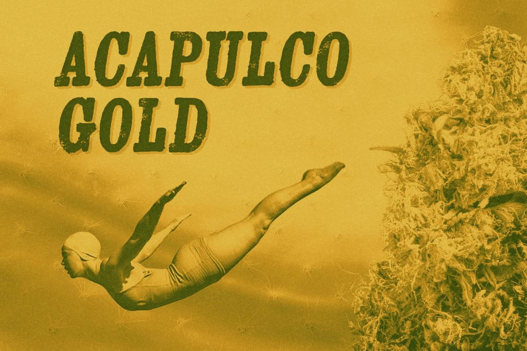 Acapulco Gold Strain