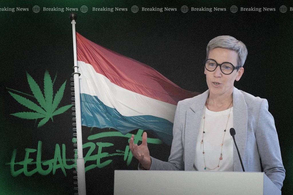 Cannabis Reform: Luxembourg Legalizes Home Cultivation