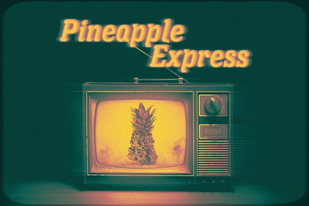 Pineapple Express Strain: A Scrumptious, Energising Sativa