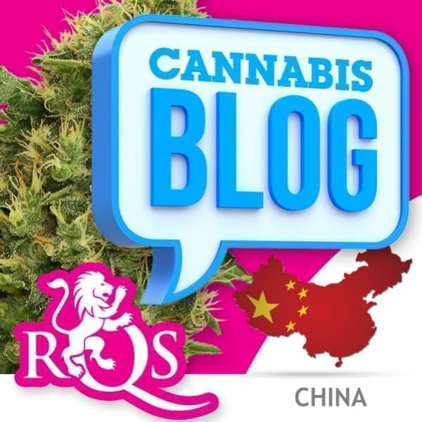 Cannabis in China