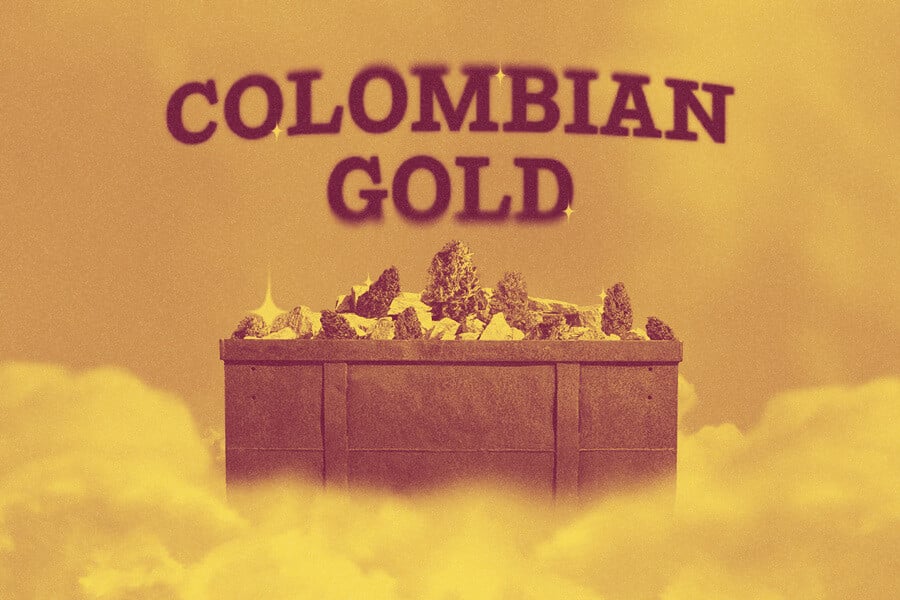 Colombian Gold: The Gold Standard for Landrace Cannabis